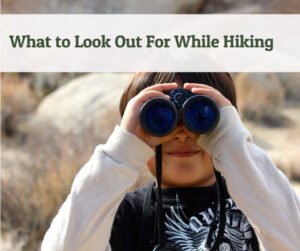 What to Look Out For While Hiking